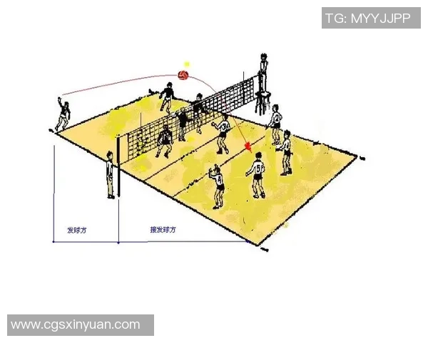 重庆排球队区域防守策略揭秘深度分析排球战术与团队协作
